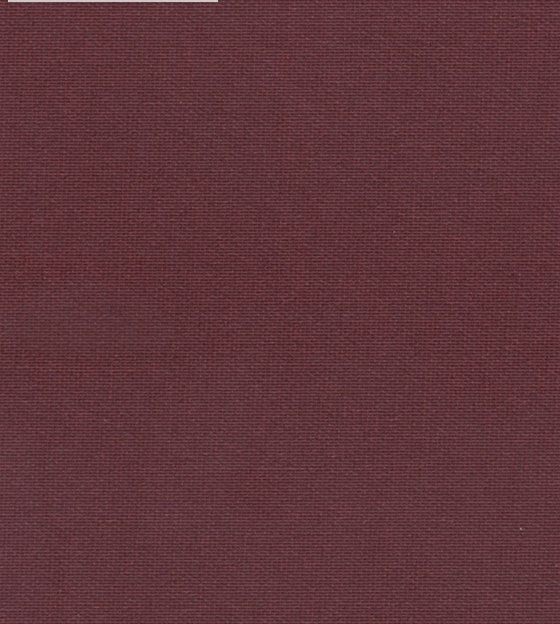 Stella variante stella_8160.jpg